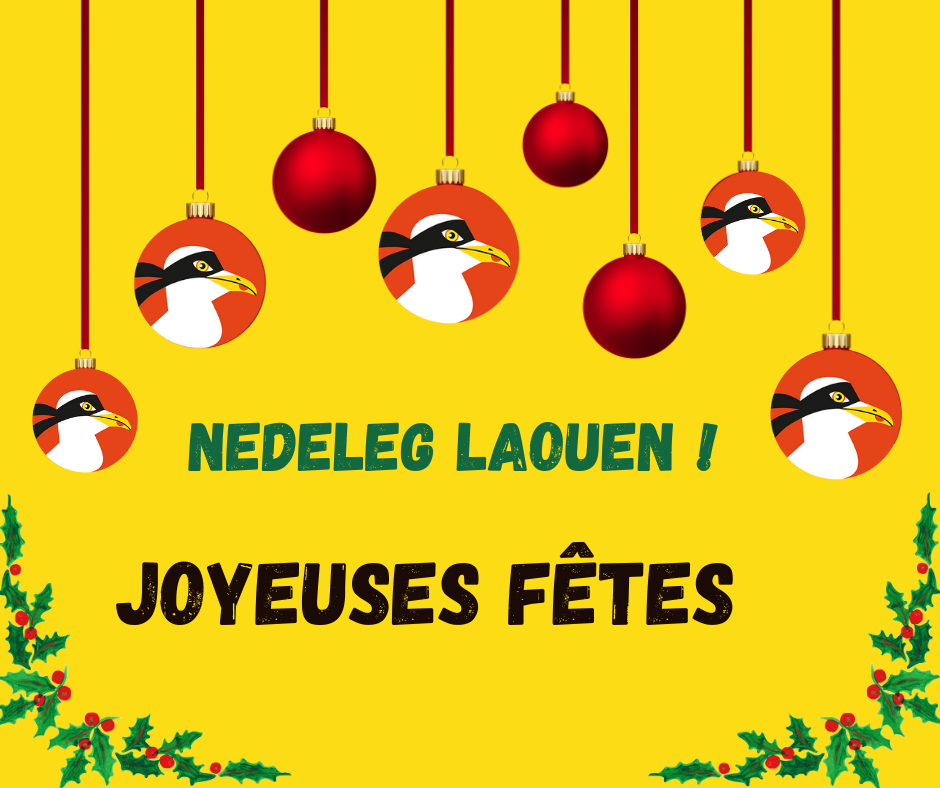 Joyeuses Fêtes