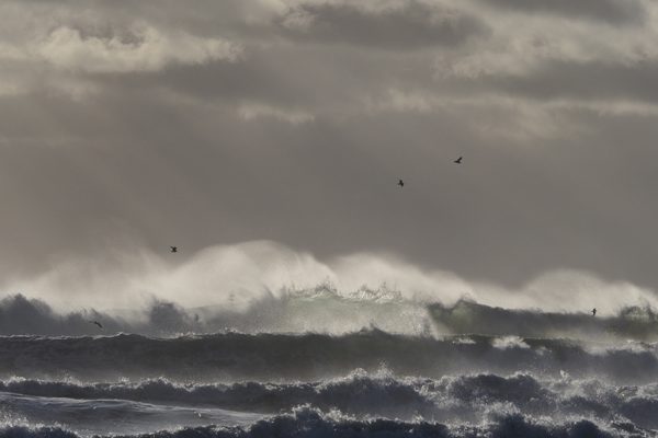 OLYMPUS DIGITAL CAMERA concours photo Jean-Claude Gaudin